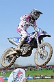 _ROB3939 (Copy)